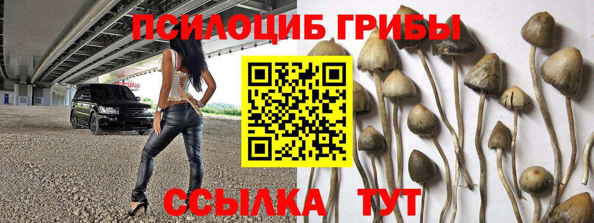 Псилоцибиновые грибы мухоморы Чайковский