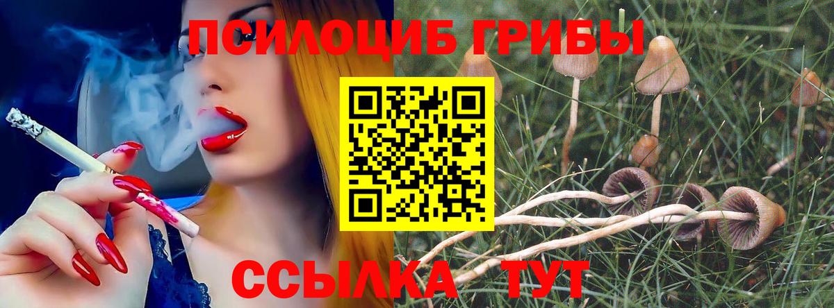 Галлюциногенные грибы Psilocybine cubensis  Вход с VPN  купить наркотики сайты  Чайковский 