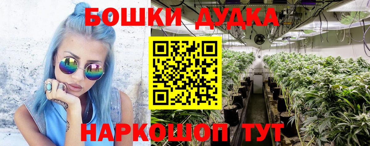 Конопля индика Чайковский